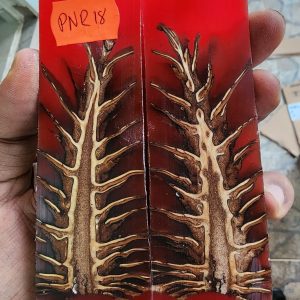 Pine Cone Resin Scale Set - P.N.R - 18