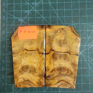 Mammoth Molar set - MMA - 10