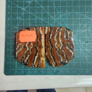 Mammoth Molar set - MMA - 18