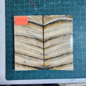 Mammoth Molar set - MMM - 3