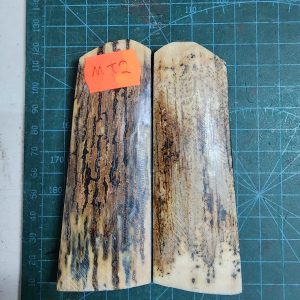 Mammoth Tusk / Ivory set - MT - 2