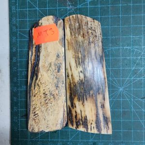 Mammoth Tusk / Ivory set - MT - 3