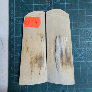 Mammoth Tusk / Ivory set - MT - 4