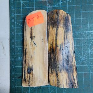 Mammoth Tusk / Ivory set - MT - 1