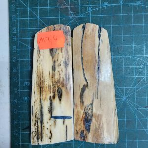 Mammoth Tusk / Ivory set - MT - 6