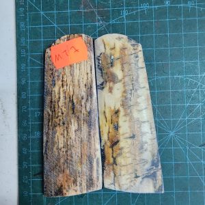 Mammoth Tusk / Ivory set - MT - 7