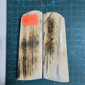 Mammoth Tusk / Ivory set - MT - 9