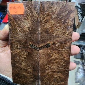 Bayur Burl Scale Set - BYB - M - 1