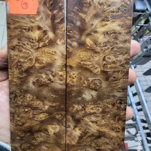 Bayur Burl Scale Set - BYB - M - 3