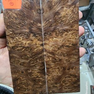Bayur Burl Scale Set - BYB - M - 2