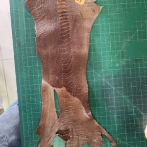 Ostrich Shin Leather - B3