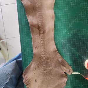 Ostrich Shin Leather - B4