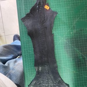 Ostrich Shin Leather - L3