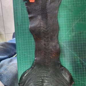 Ostrich Shin Leather - L4