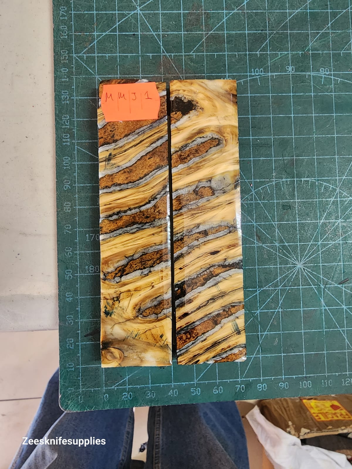 Mammoth Molar set - MMJ - 1