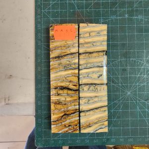 Mammoth Molar set - MMJ - 6