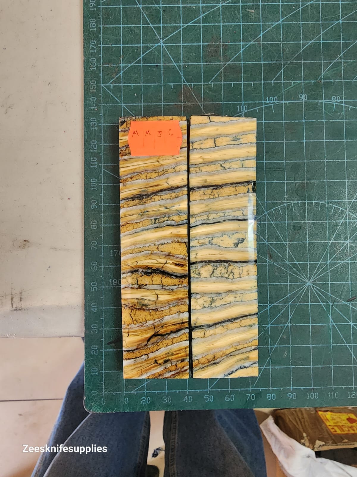 Mammoth Molar set - MMJ - 6