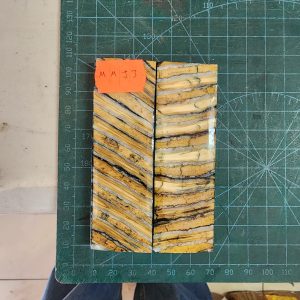 Mammoth Molar set - MMJ - 3