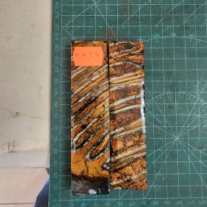 Mammoth Molar set - MMJ - 7