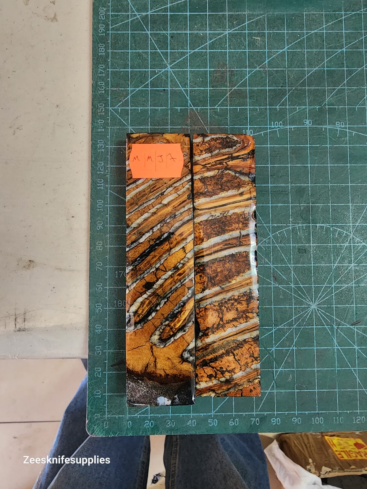 Mammoth Molar set - MMJ - 7