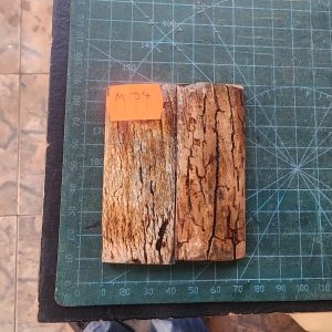 Mammoth Ivory set - M J - 4