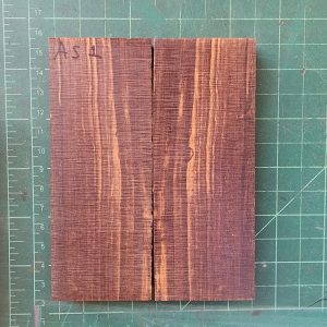 Arizona Desert Ironwood Scales - Sold as a Set - AS - 1