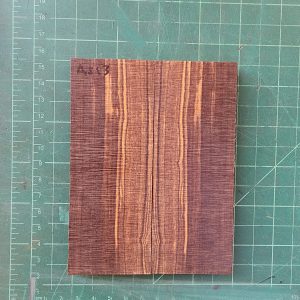Arizona Desert Ironwood Scales - Sold as a Set - AS - 13