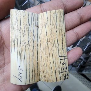 Alternative view of Mammoth Ivory set - M S - 1
