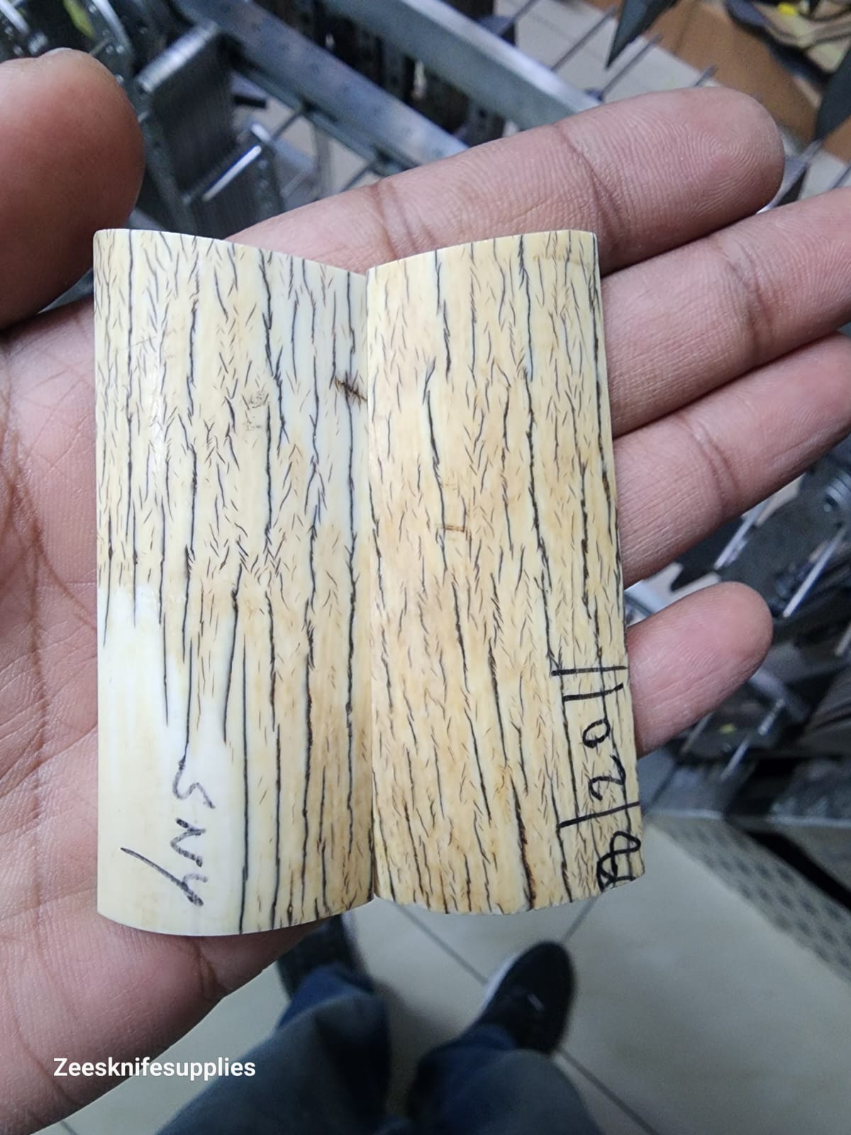 Mammoth Ivory set - M S - 1 - Image 2