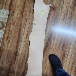 Leather Belly - LB - JN - 4 - 29 Deci