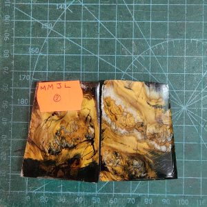 Mammoth Molar set - MMJL - 2