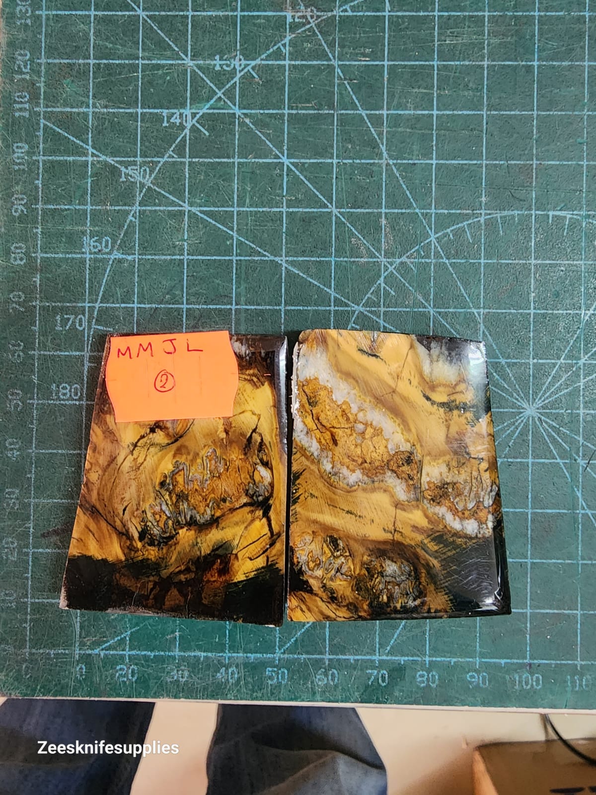 Mammoth Molar set - MMJL - 2