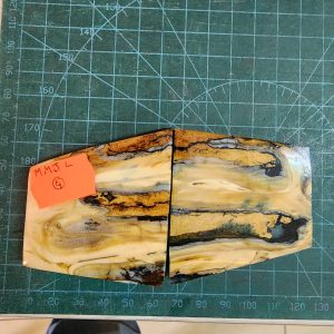 Mammoth Molar set - MMJL - 4