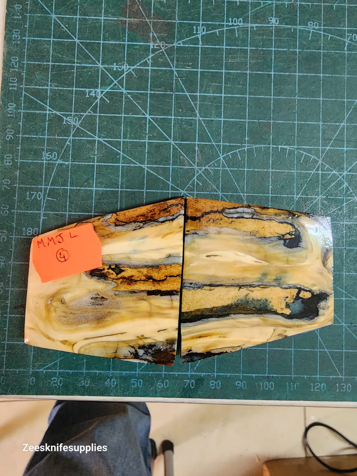Mammoth Molar set - MMJL - 4