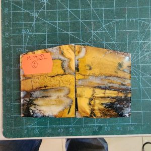 Mammoth Molar set - MMJL - 6