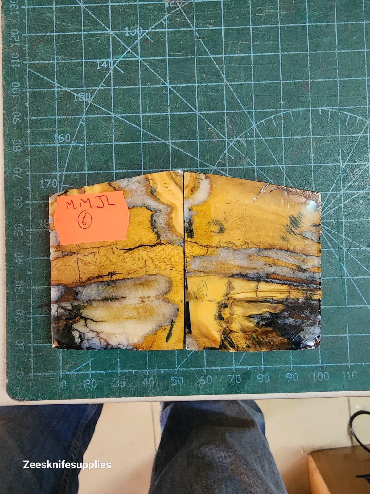 Mammoth Molar set - MMJL - 6