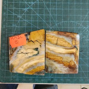 Mammoth Molar set - MMJL - 5