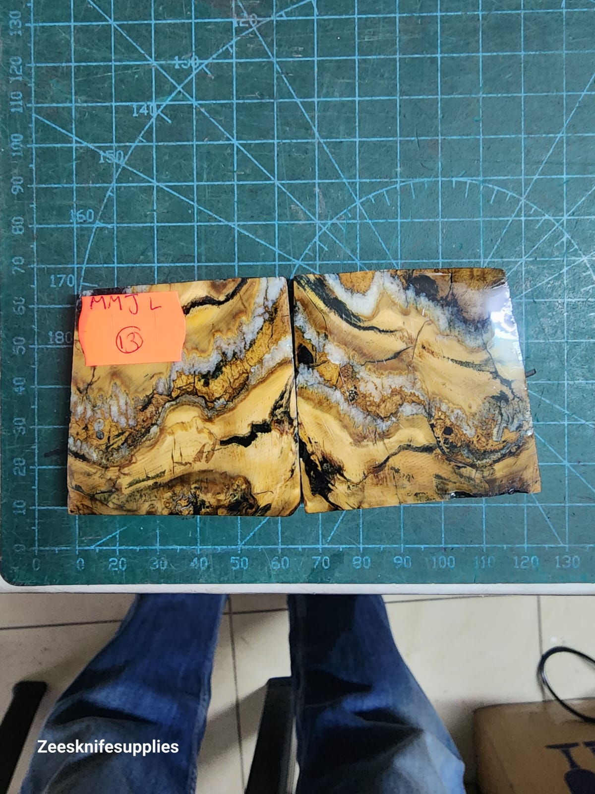 Mammoth Molar set - MMJL - 13