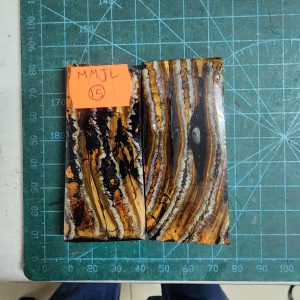 Mammoth Molar set - MMJL - 15