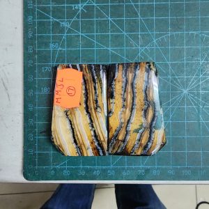Mammoth Molar set - MMJL - 17