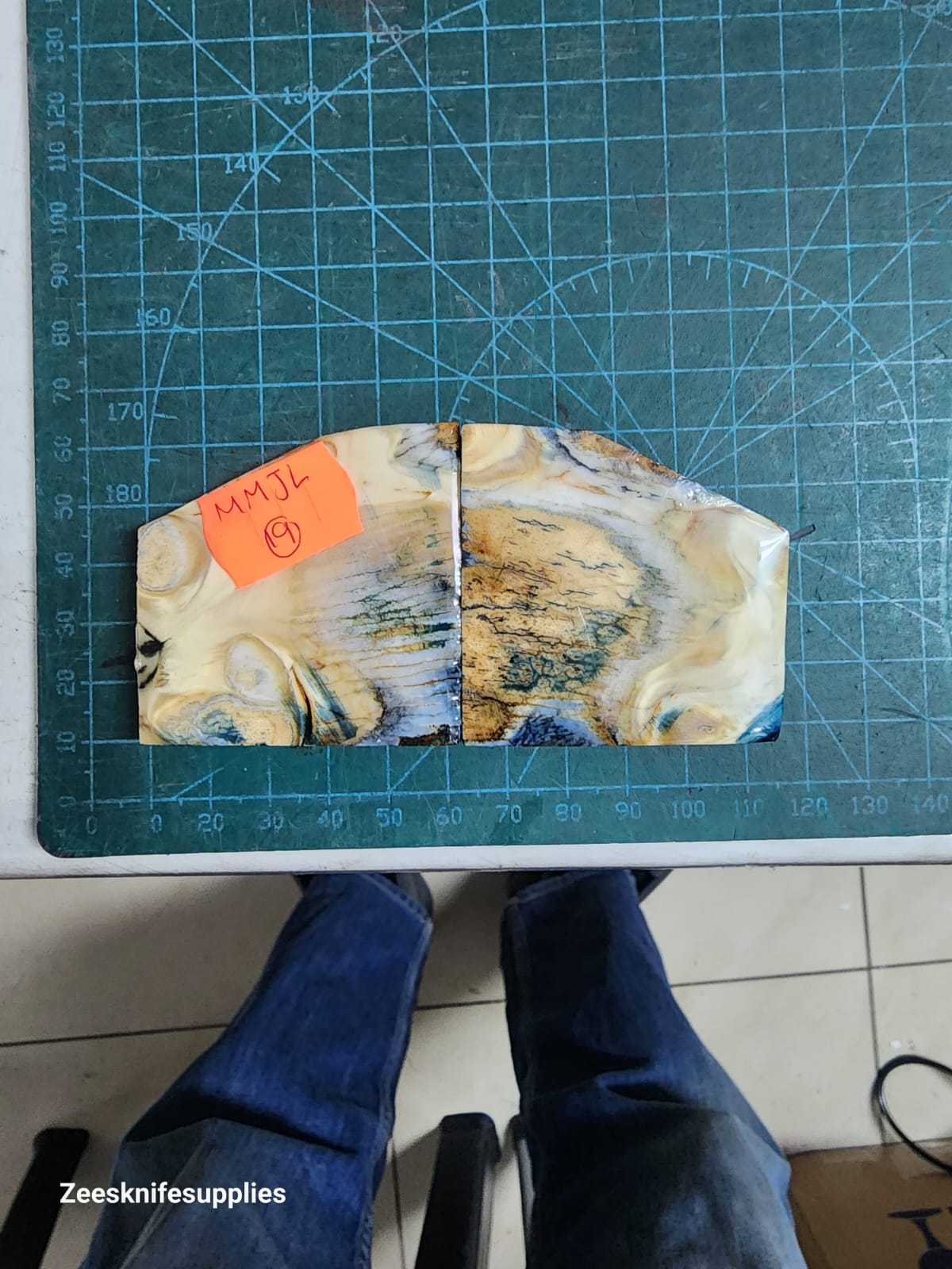Mammoth Molar set - MMJL - 19