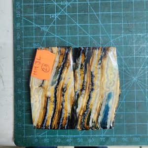 Mammoth Molar set - MMJL - 21