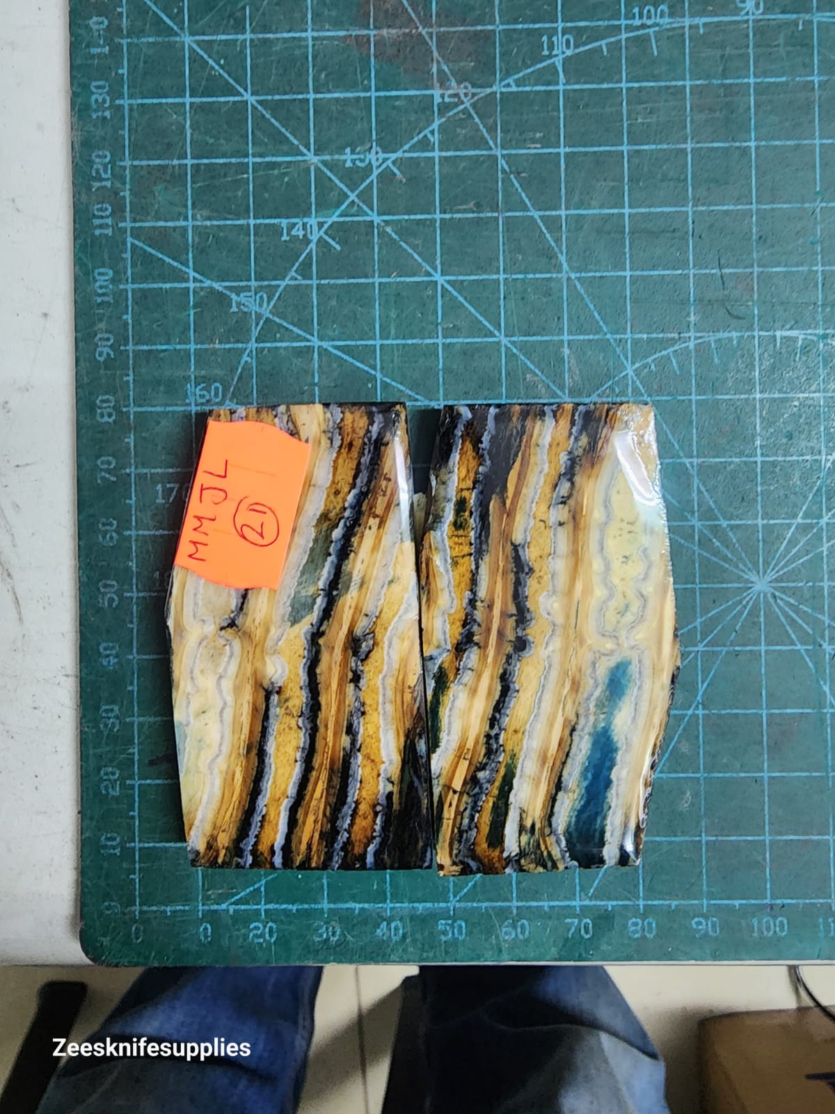 Mammoth Molar set - MMJL - 21
