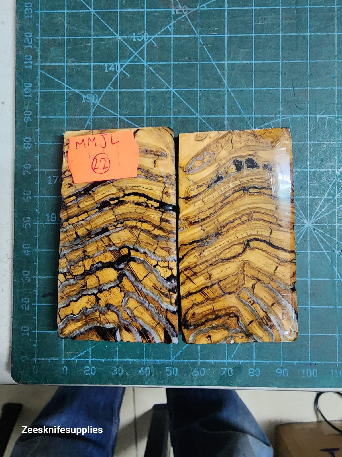 Mammoth Molar set - MMJL - 22
