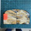 Mammoth Molar set - MMJL - 25