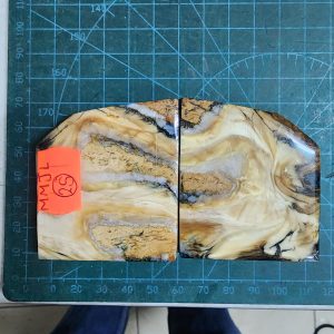Mammoth Molar set - MMJL - 25