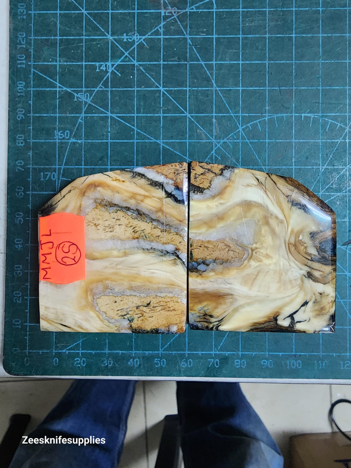 Mammoth Molar set - MMJL - 25