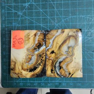 Mammoth Molar set - MMJL - 23