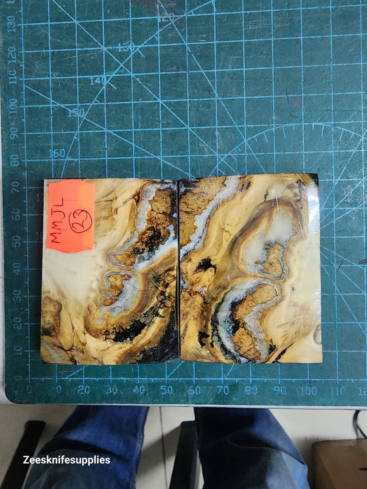 Mammoth Molar set - MMJL - 23