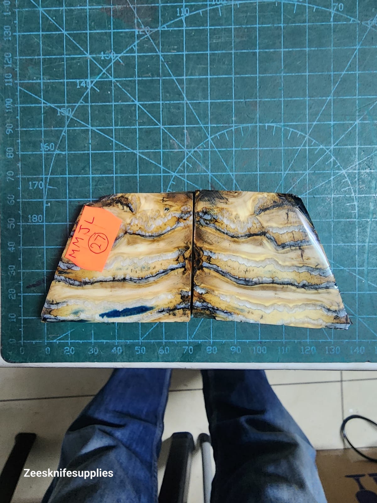 Mammoth Molar set - MMJL - 27